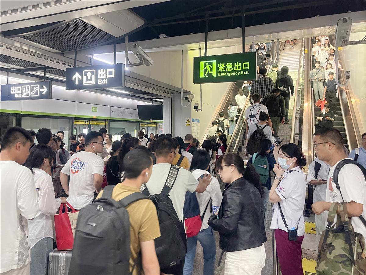 免费白菜网站大全2018